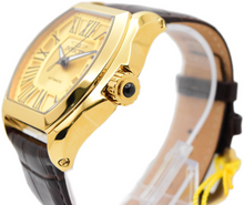 Load image into Gallery viewer, Invicta Pro Diver Automatic Golden Classic Men's 48mm Brown Leather Watch 44509-Klawk Watches